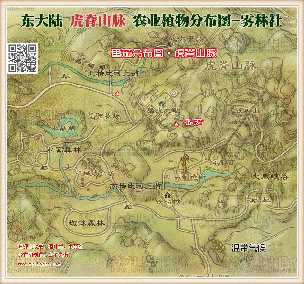 虎脊山脉番茄