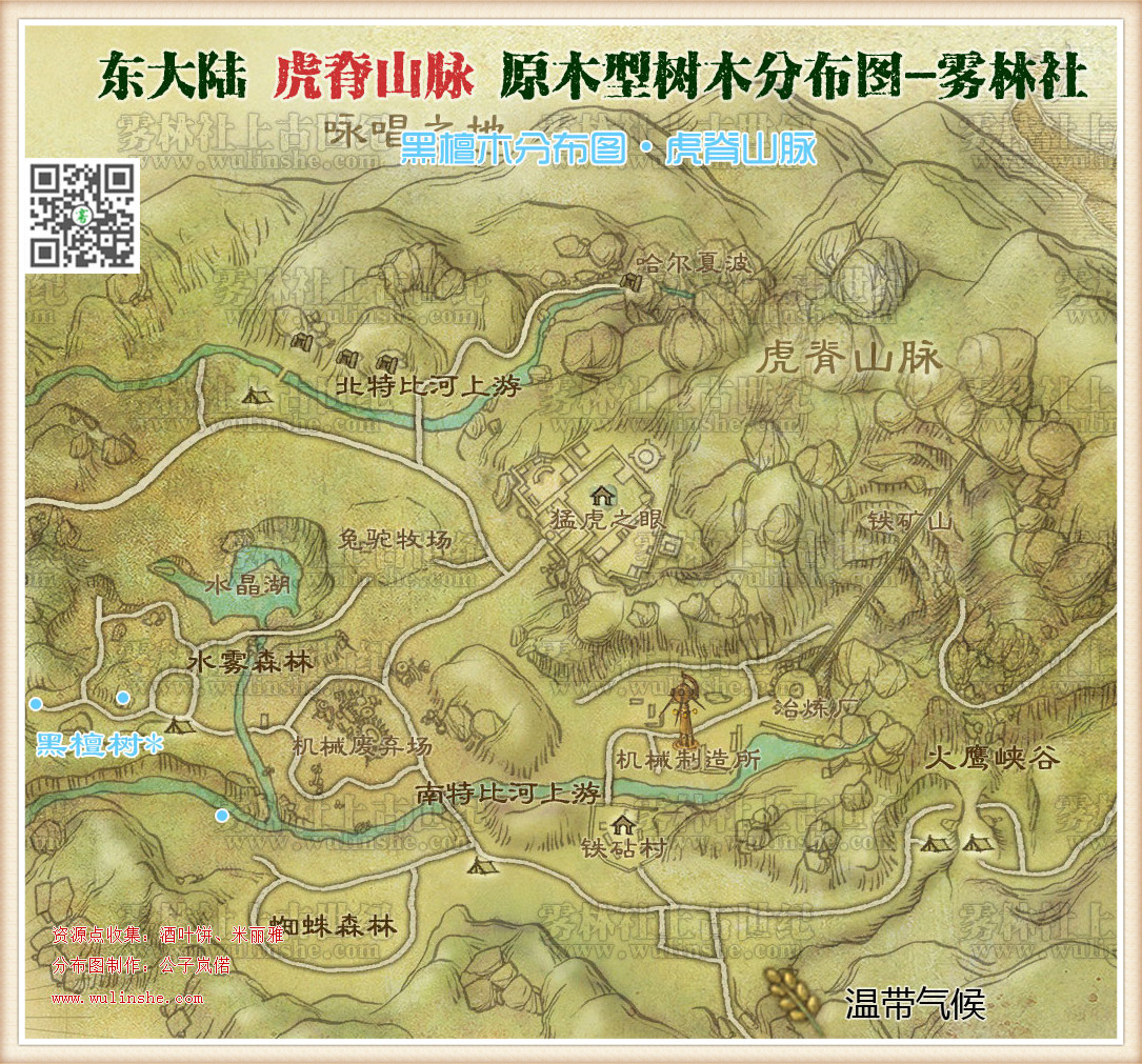 东大陆虎脊山脉黑檀木