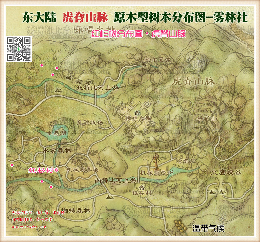 虎脊山脉红杉树