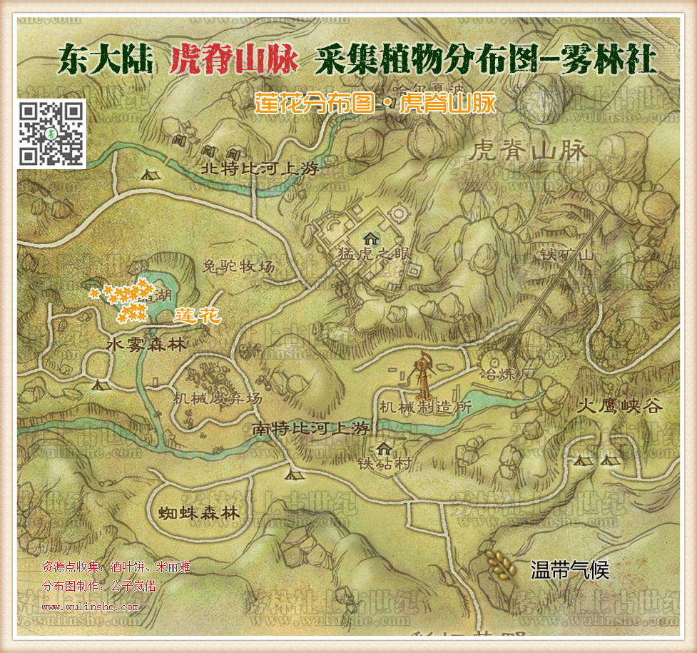东大陆虎脊山脉莲花