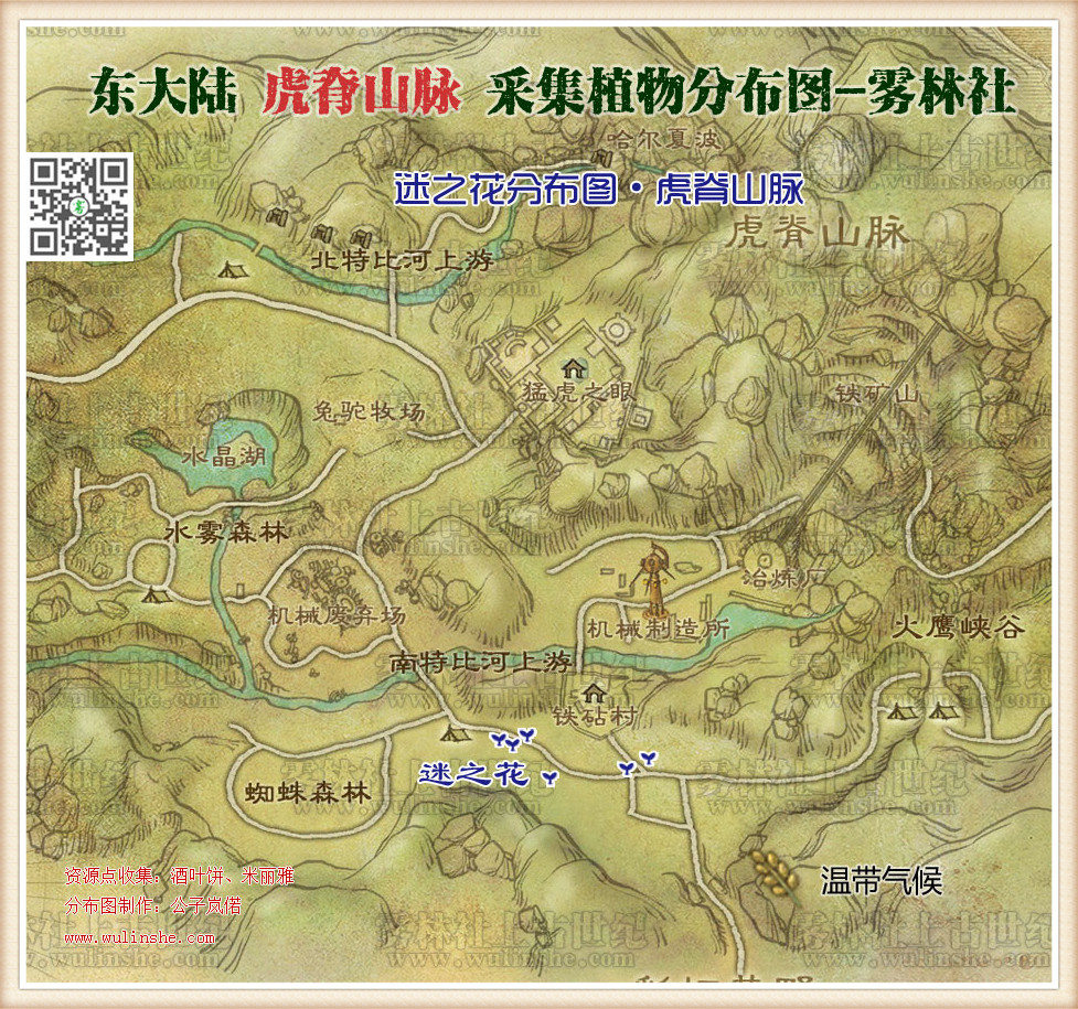 东大陆虎脊山脉迷之花