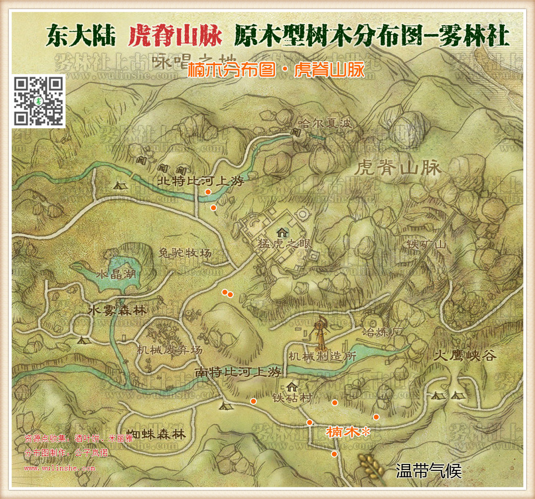 东大陆虎脊山脉楠木