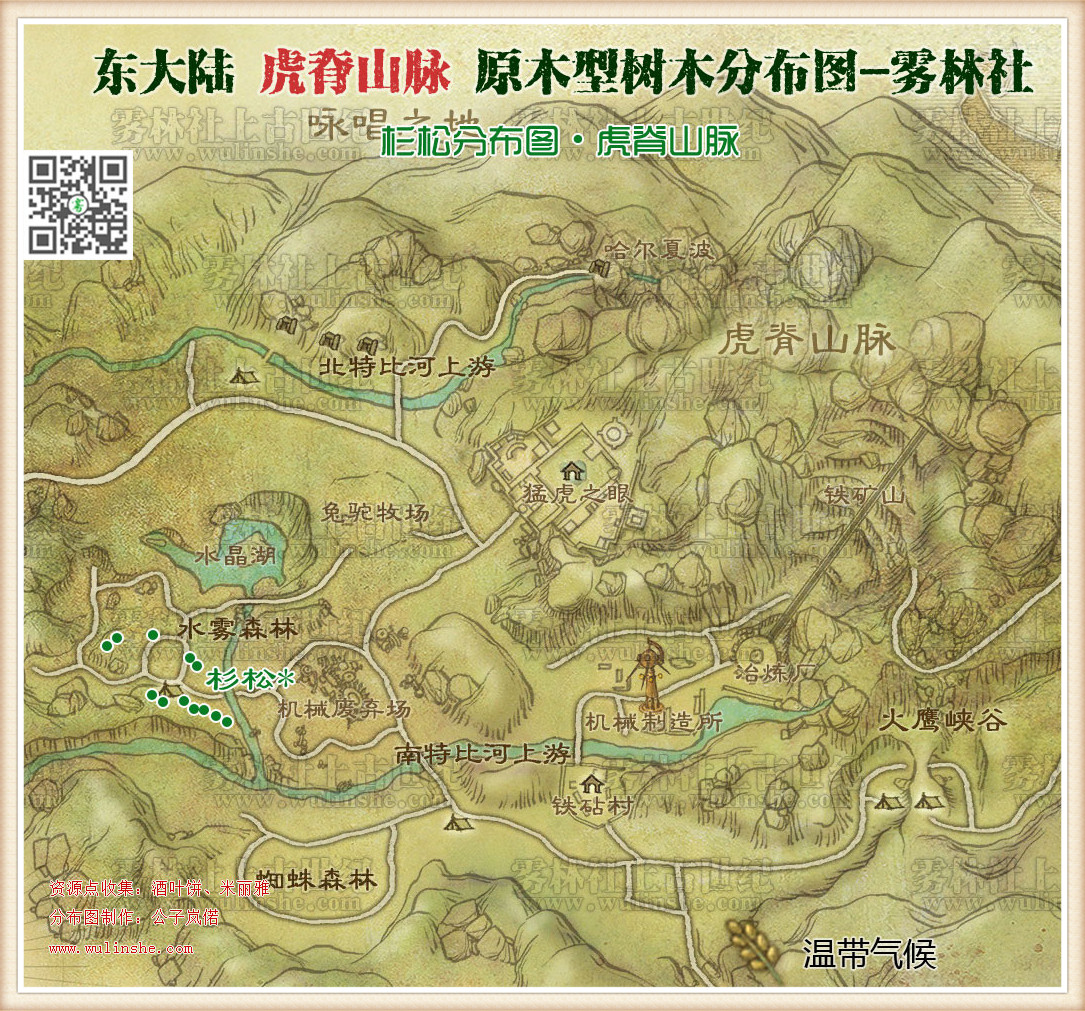 东大陆虎脊山脉杉松
