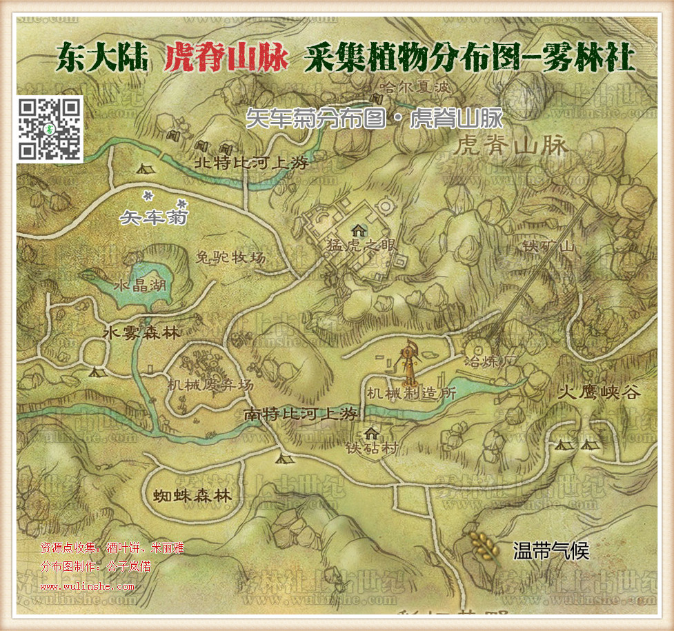 东大陆虎脊山脉矢车菊