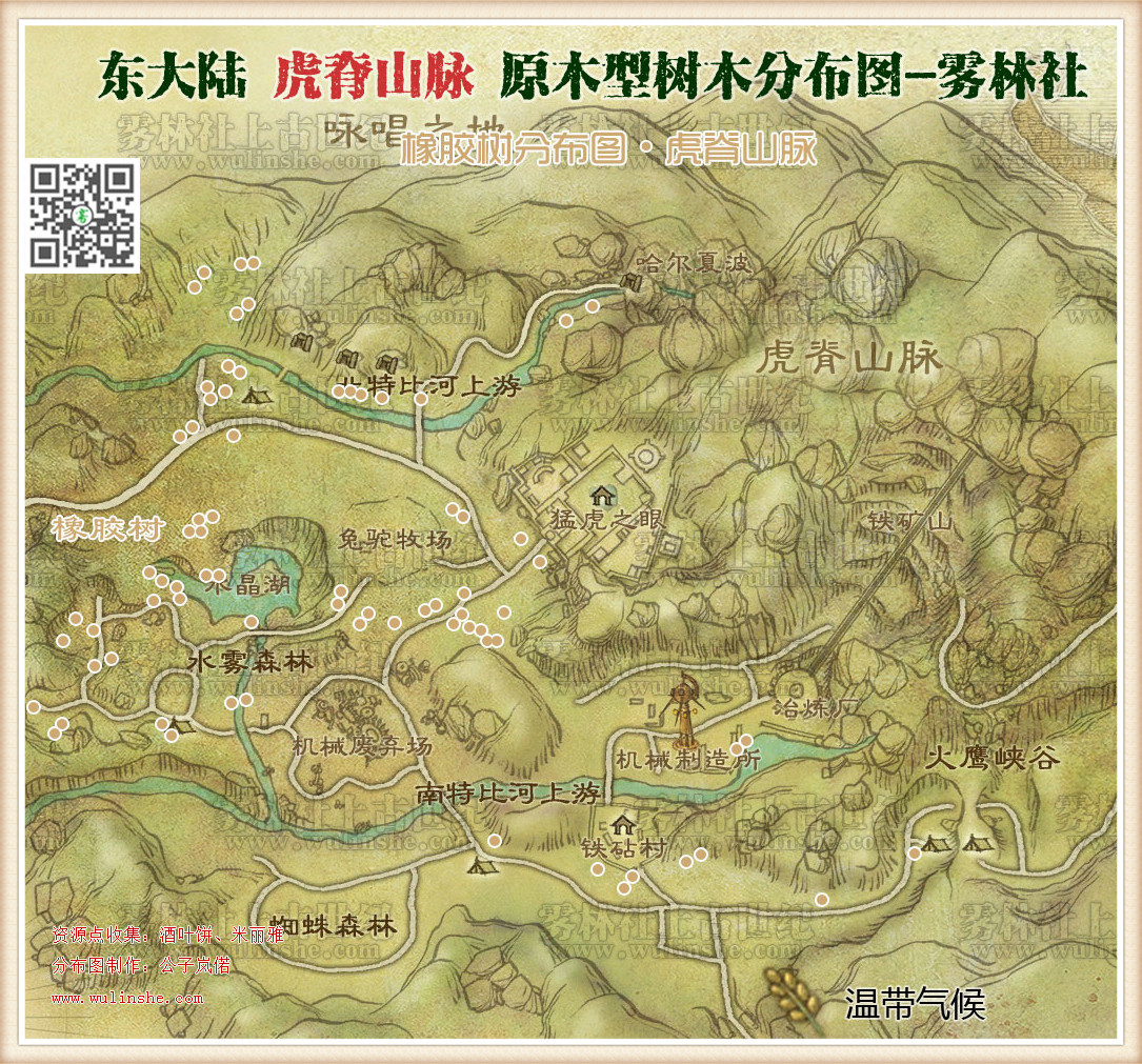 东大陆虎脊山脉橡胶树