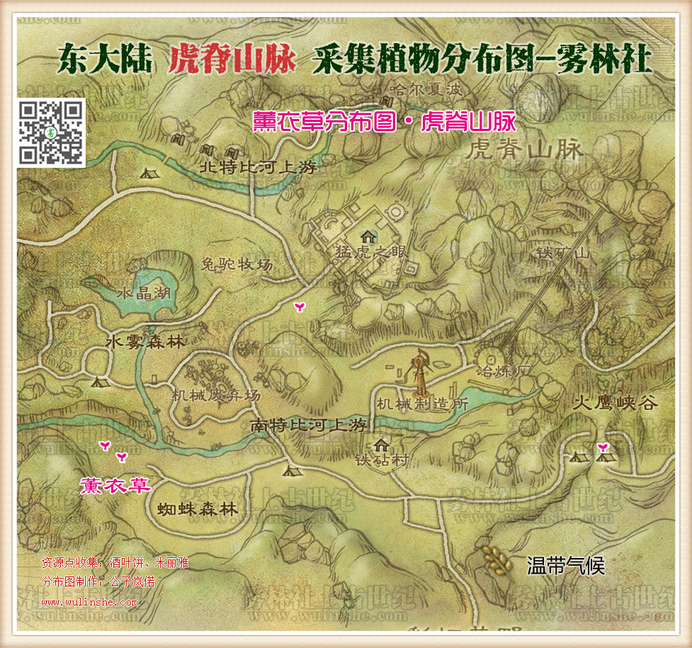 东大陆虎脊山脉薰衣草