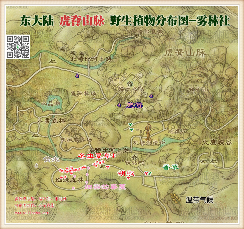 东大陆虎脊山脉野生植物综合