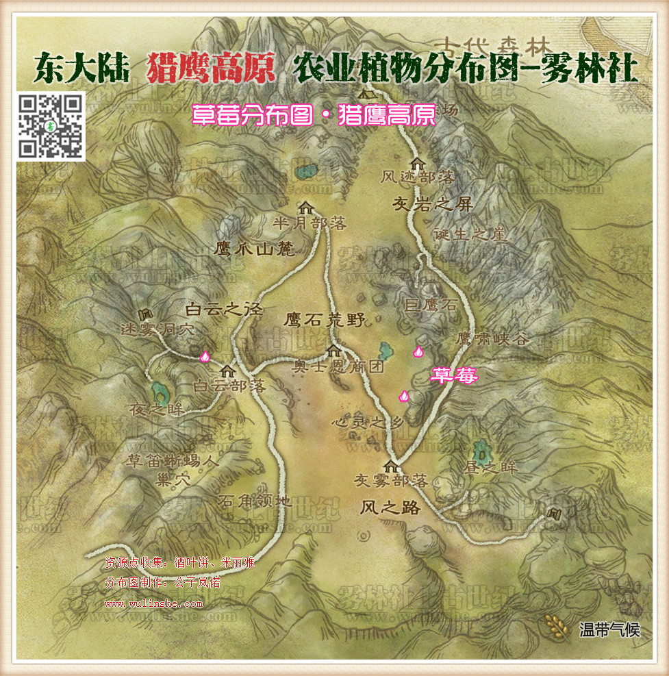 猎鹰高原草莓