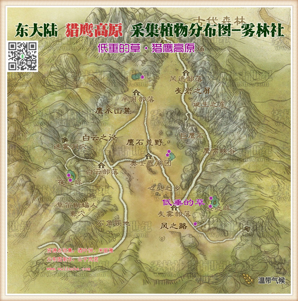 东大陆猎鹰高原低垂的草