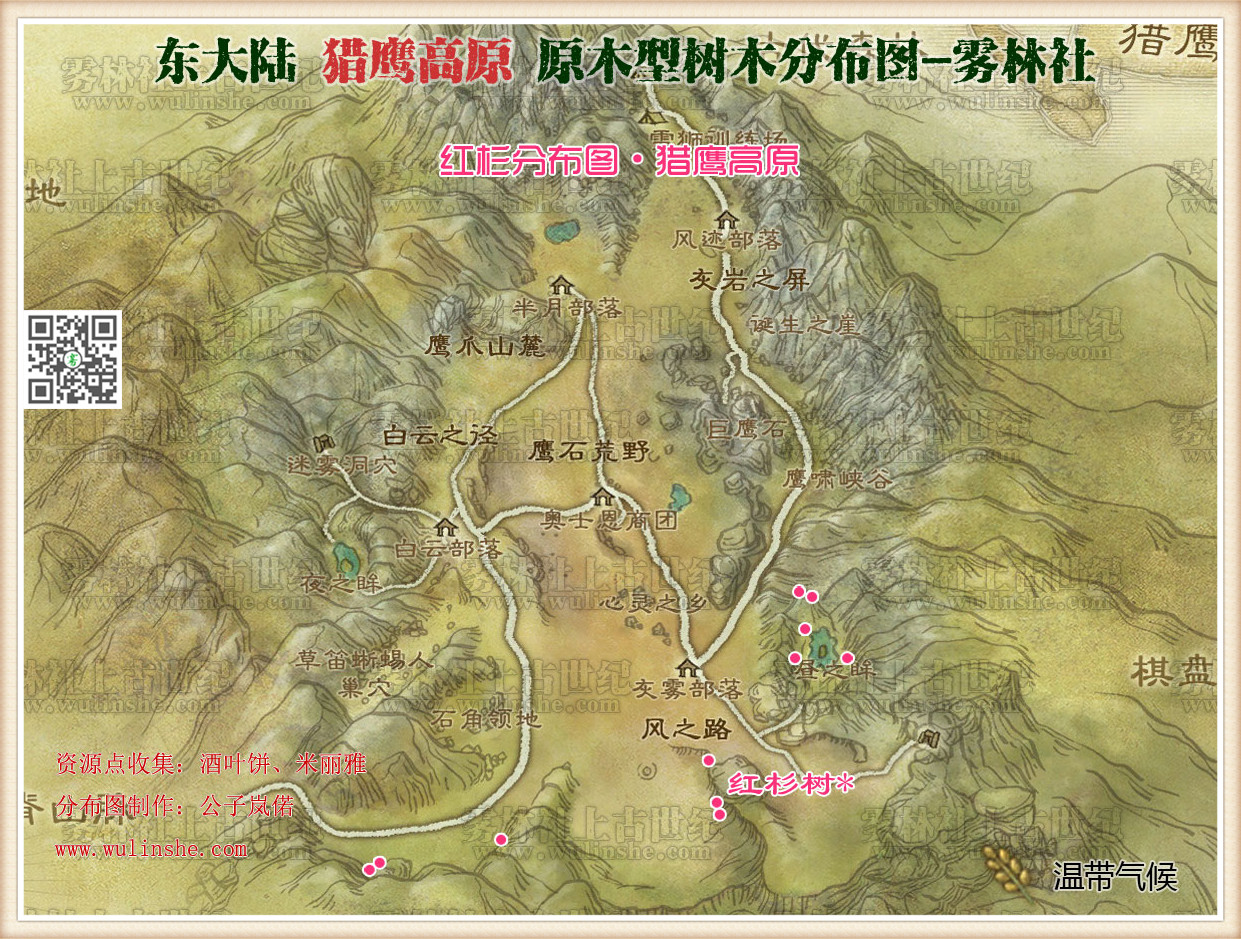 猎鹰高原红杉树