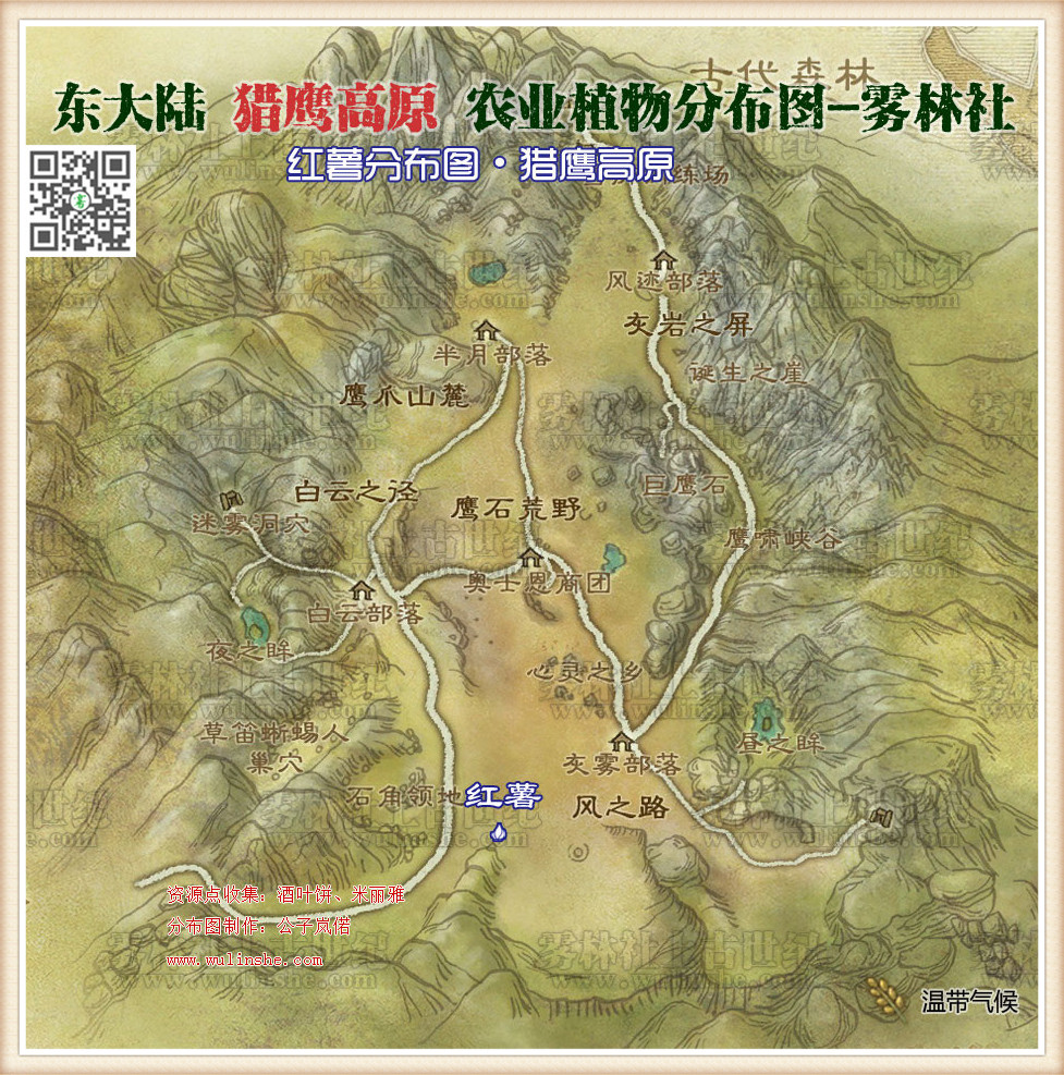 东大陆猎鹰高原红薯