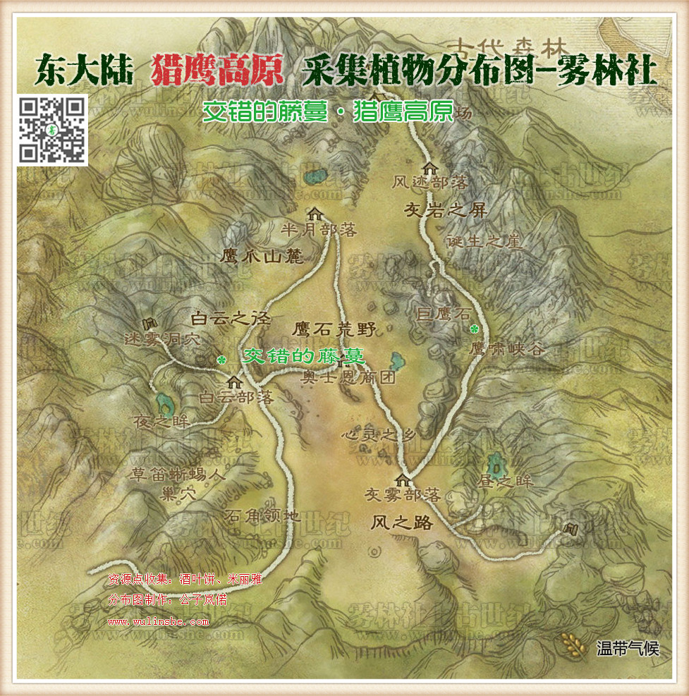 东大陆猎鹰高原交错的藤蔓