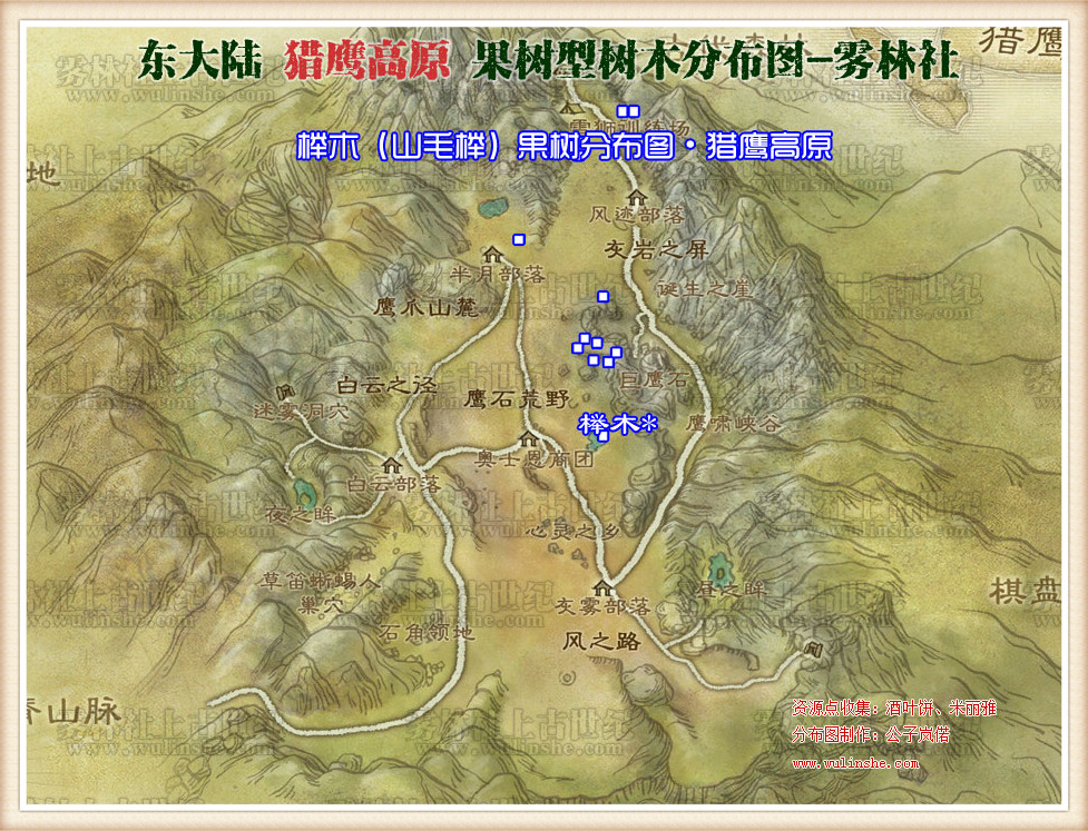 猎鹰高原榉木 山毛榉 
