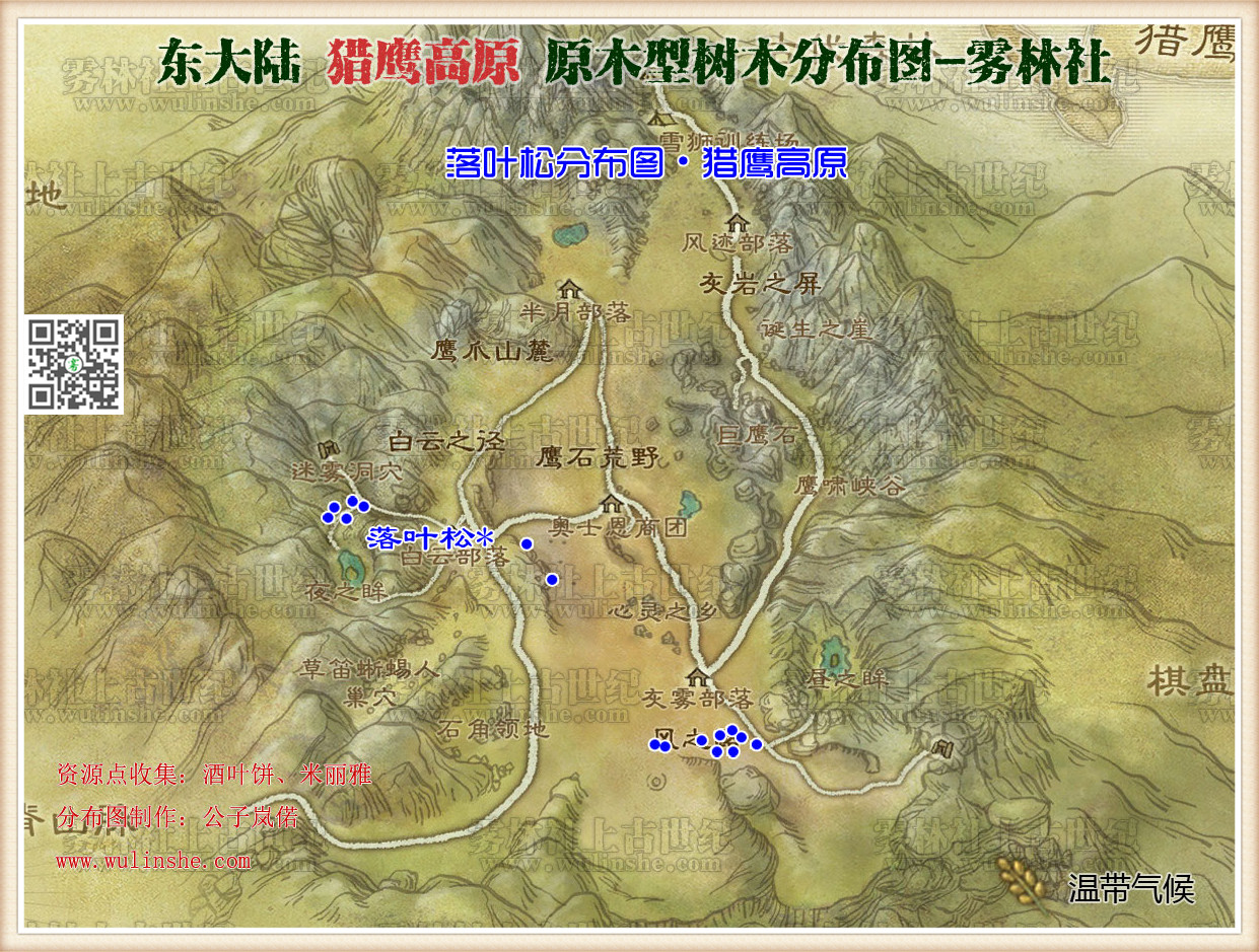 猎鹰高原落叶松