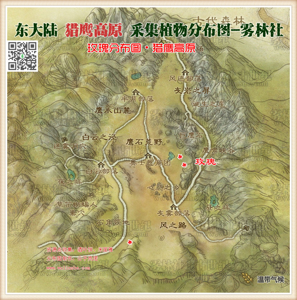 猎鹰高原玫瑰