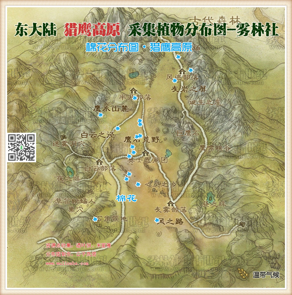 猎鹰高原棉花