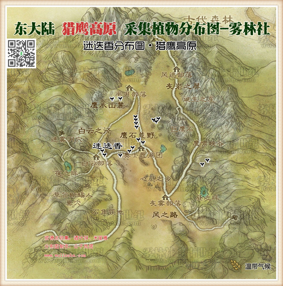 猎鹰高原迷迭香