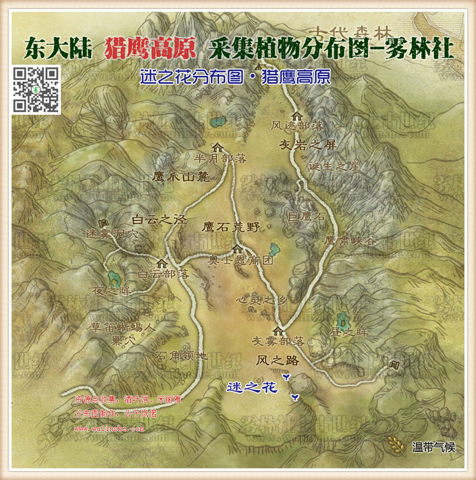 猎鹰高原迷之花