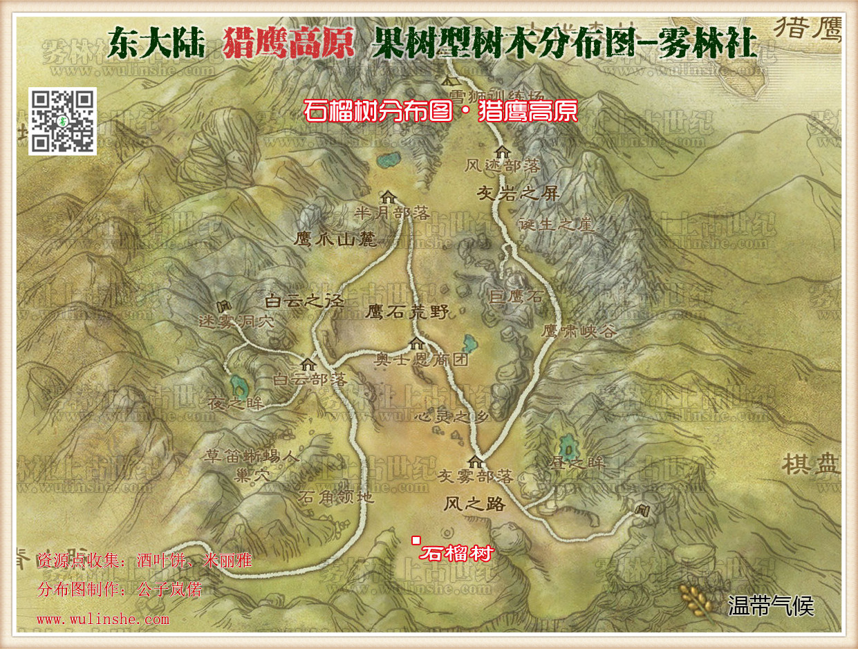 猎鹰高原石榴树