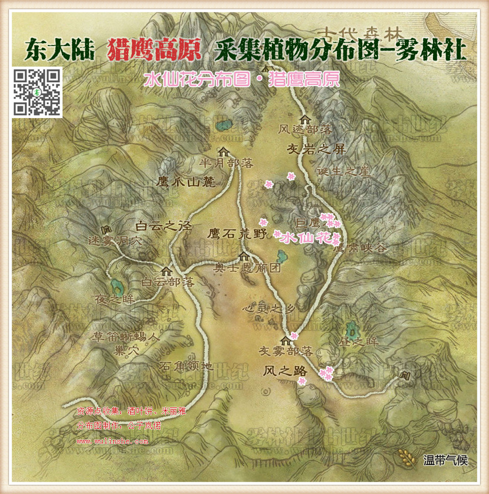 猎鹰高原水仙花
