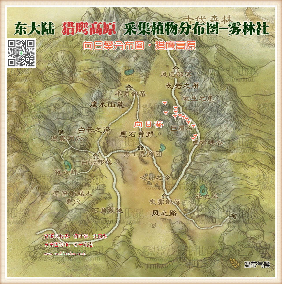 猎鹰高原向日葵