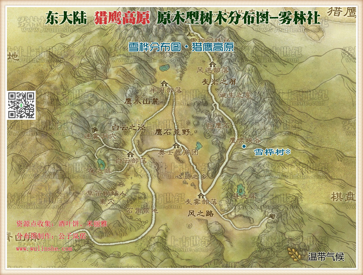 猎鹰高原雪桦树