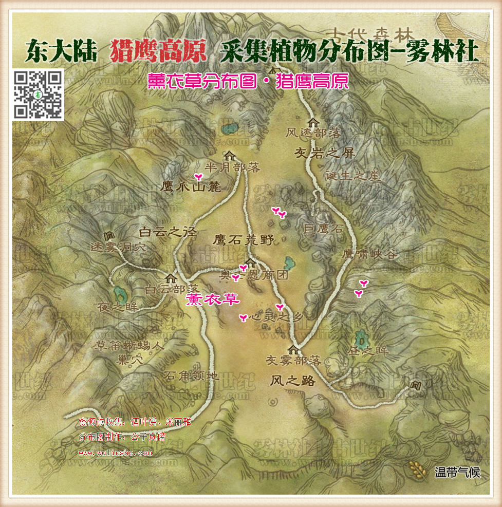 猎鹰高原薰衣草