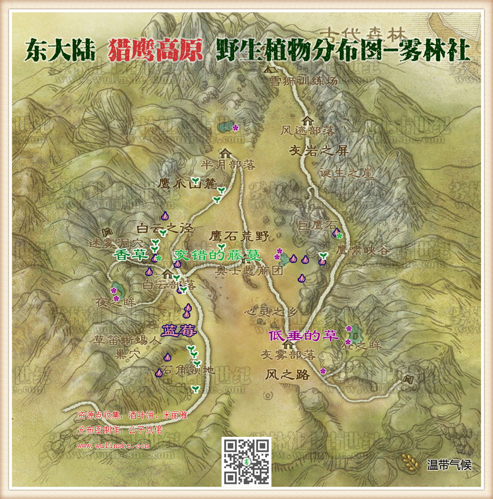 东大陆猎鹰高原野生植物综合