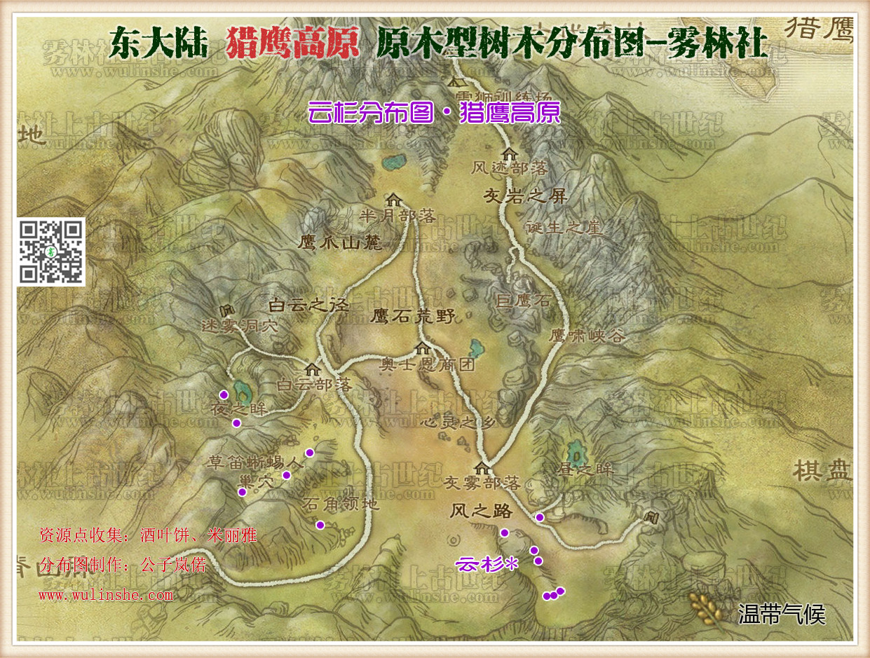 猎鹰高原云杉