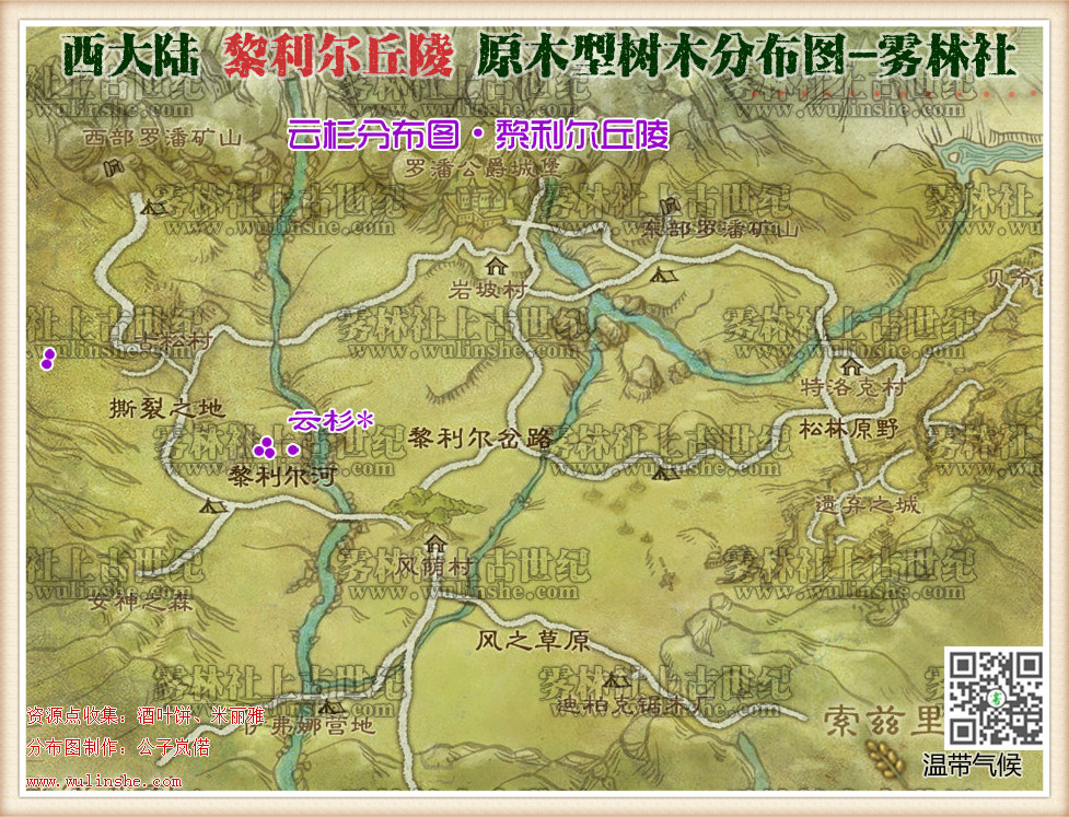 黎利尔丘陵云杉