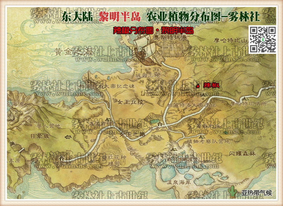 黎明半岛辣椒