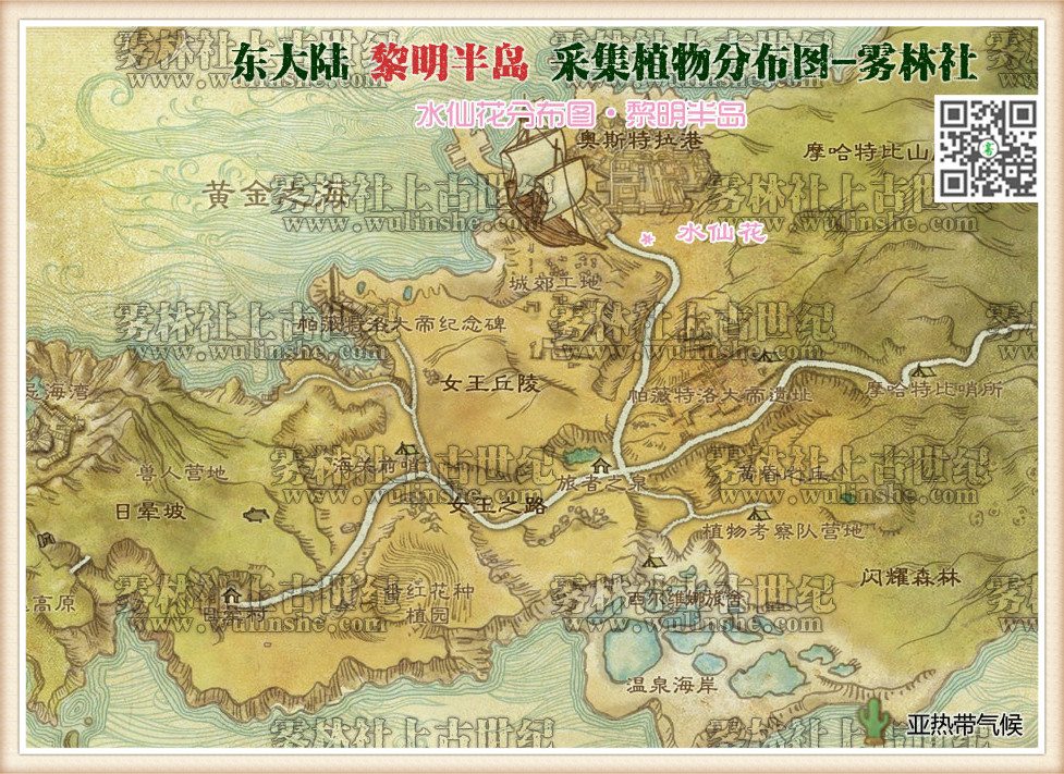 东大陆黎明半岛水仙花