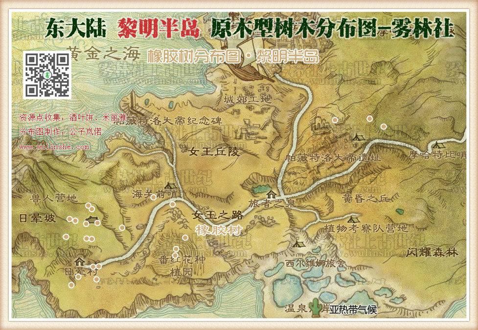 黎明半岛橡胶树