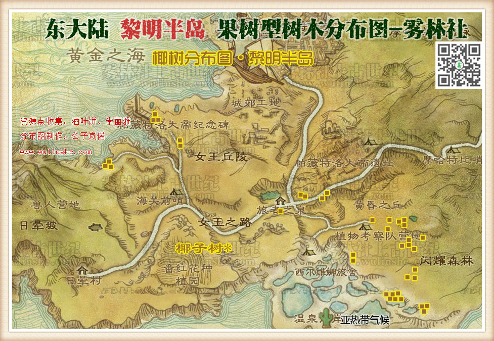 东大陆黎明半岛椰子树