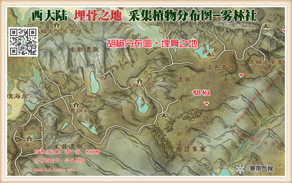 西大陆埋骨之地