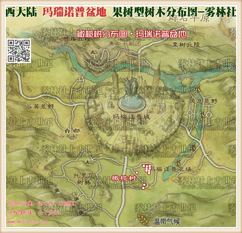 西大陆马瑞诺普盆地橄榄树
