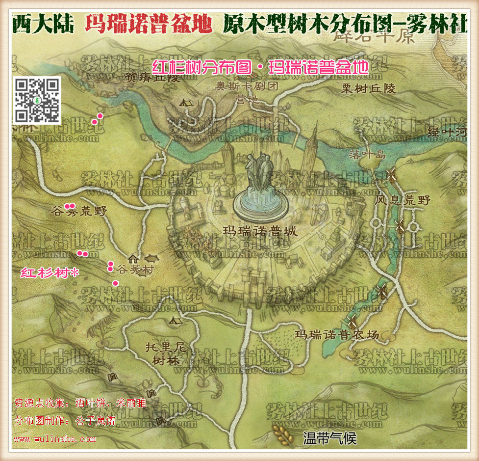 马瑞诺普盆地红杉树