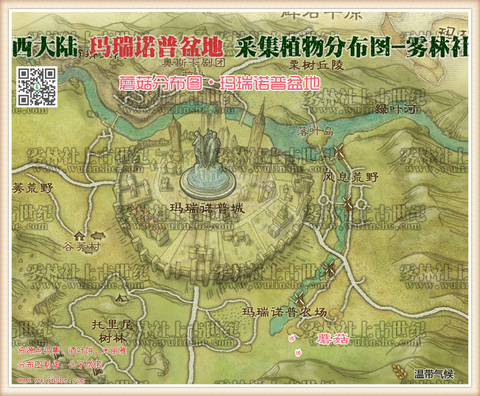西大陆马瑞诺普盆地蘑菇