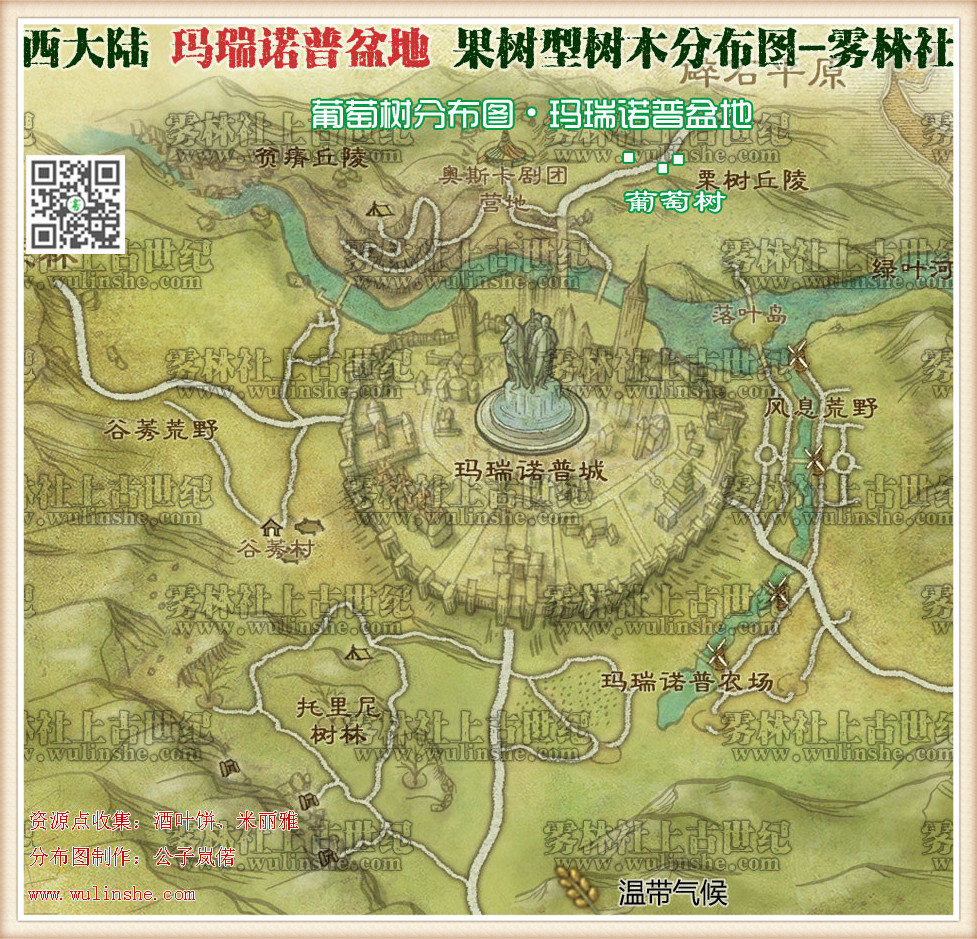 西大陆马瑞诺普盆地葡萄树