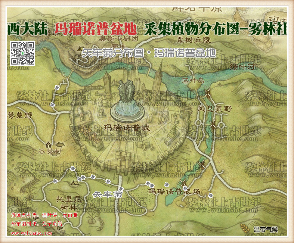 西大陆马瑞诺普盆地矢车菊