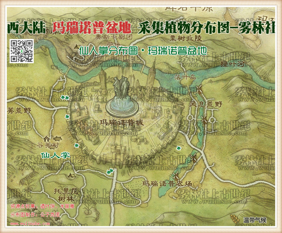 西大陆马瑞诺普盆地仙人掌