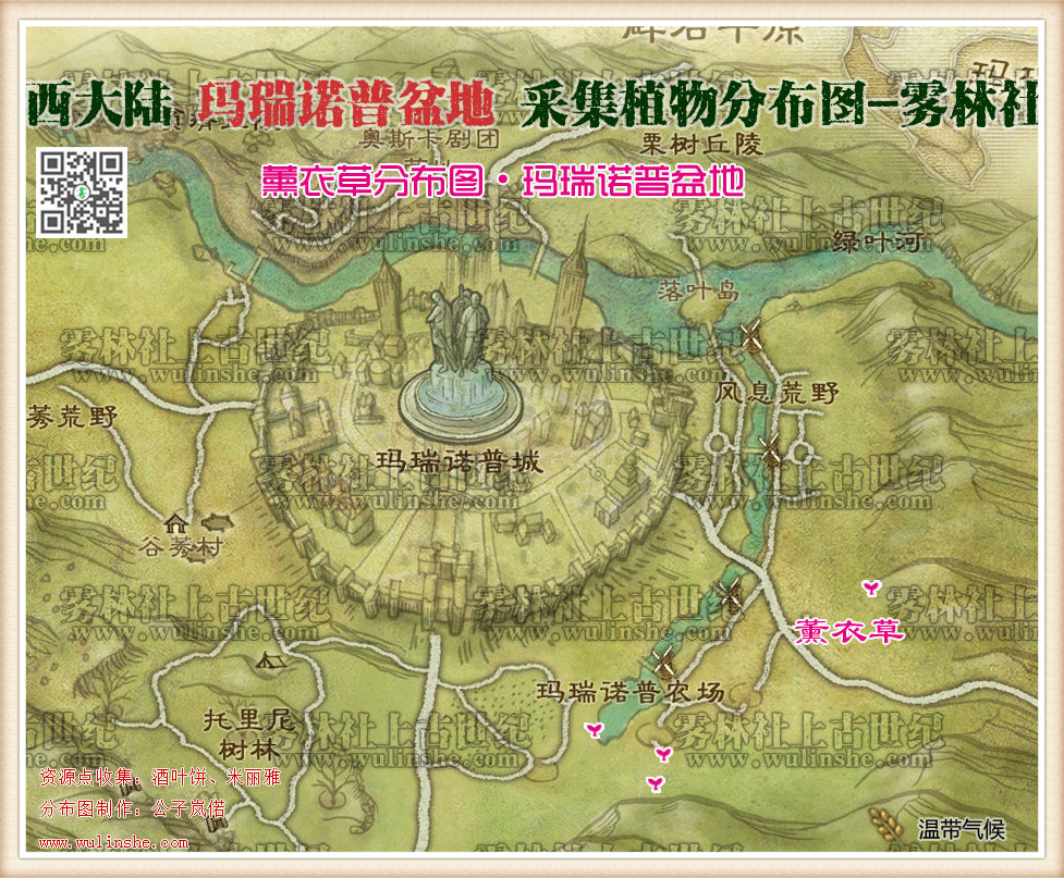 西大陆马瑞诺普盆地薰衣草