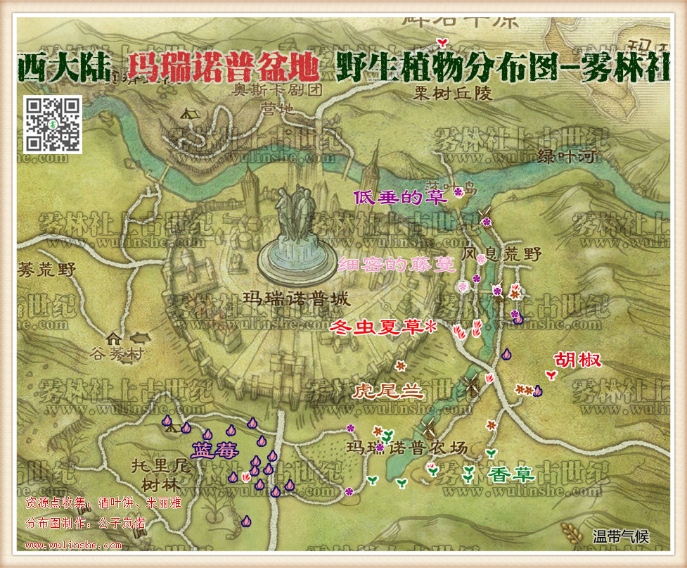 西大陆马瑞诺普盆地野生植物综合