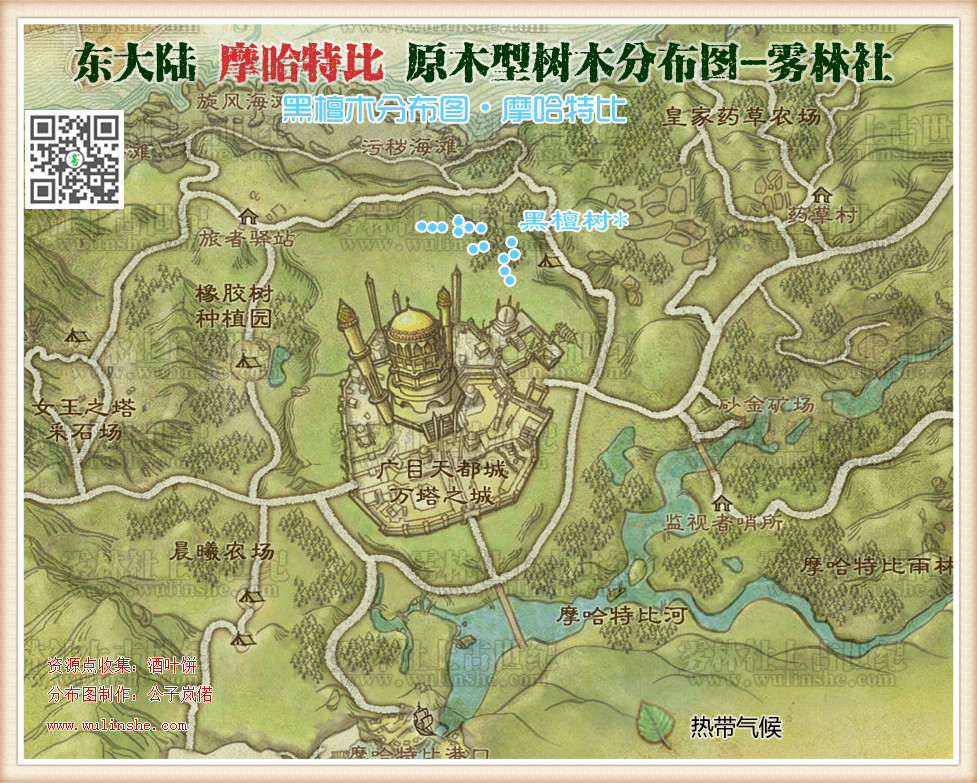东大陆摩哈特比黑檀木