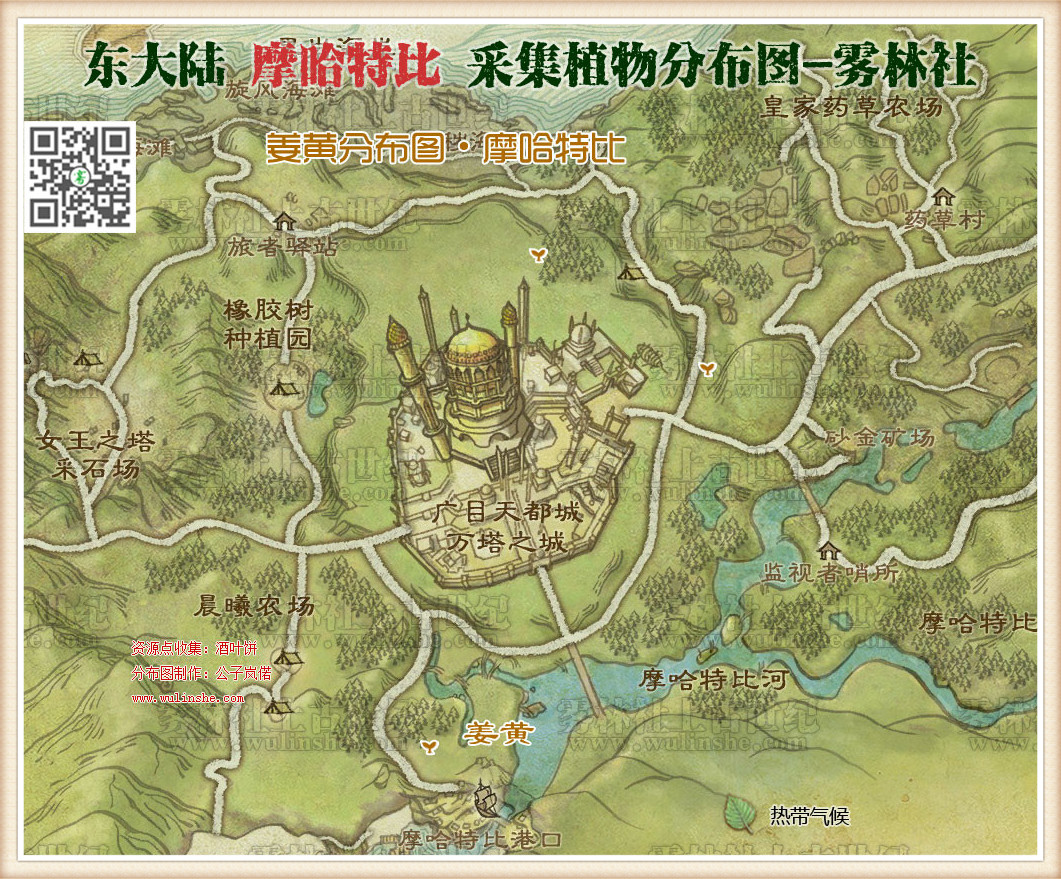东大陆摩哈特比姜黄