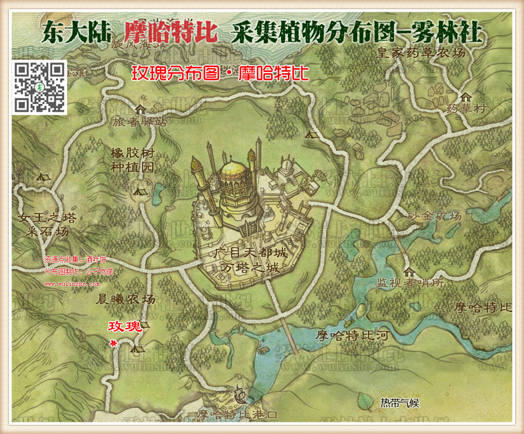 东大陆摩哈特比玫瑰