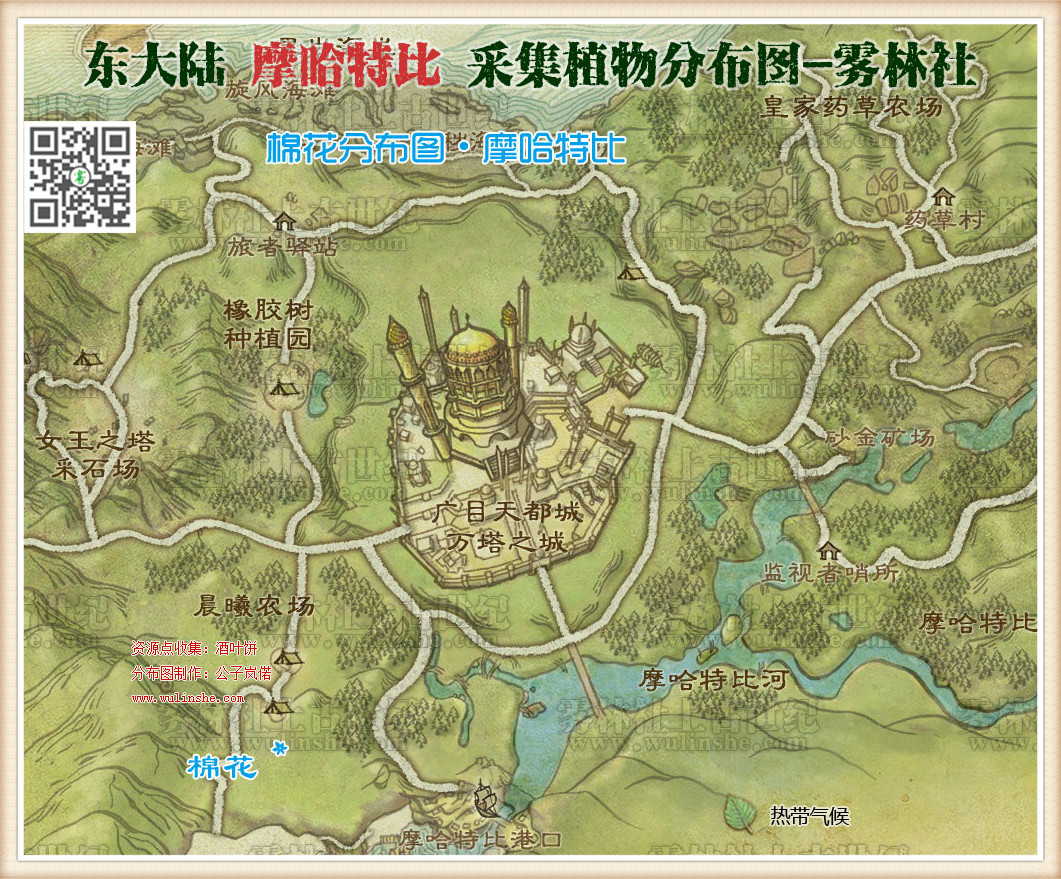 东大陆摩哈特比棉花