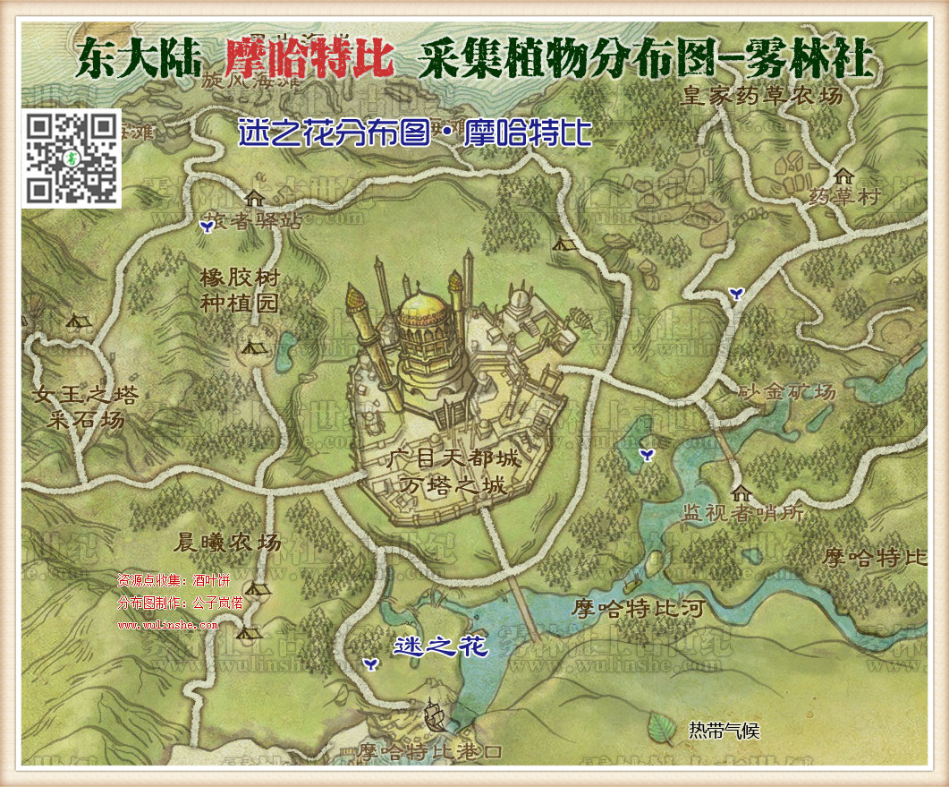 东大陆摩哈特比迷之花