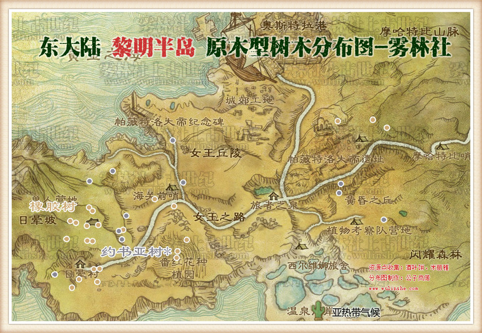黎明半岛树木