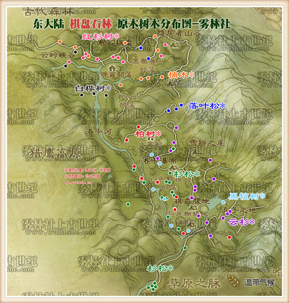 棋盘石林树木
